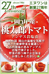 岩塩専門店 エヌワン創業26周年 岩塩専門店 エヌワン創業26周年